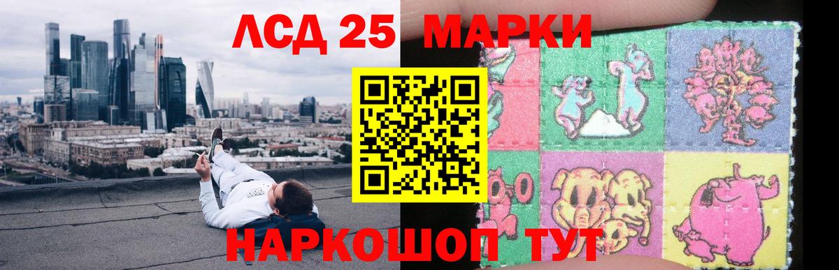 Псилоцибиновые грибы Благодарный