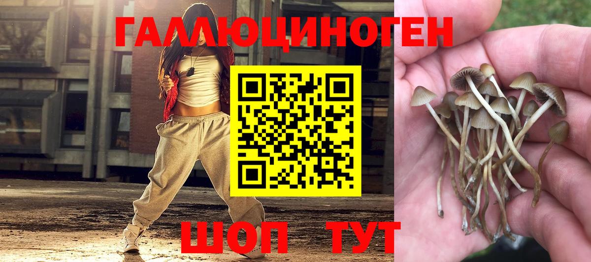 Благодарный  Галлюциногенные грибы мицелий  Вход с VPN 